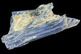 Vibrant Blue Kyanite Crystal - Brazil #80396-1